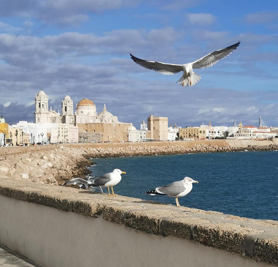 Apartamento Caleta *
